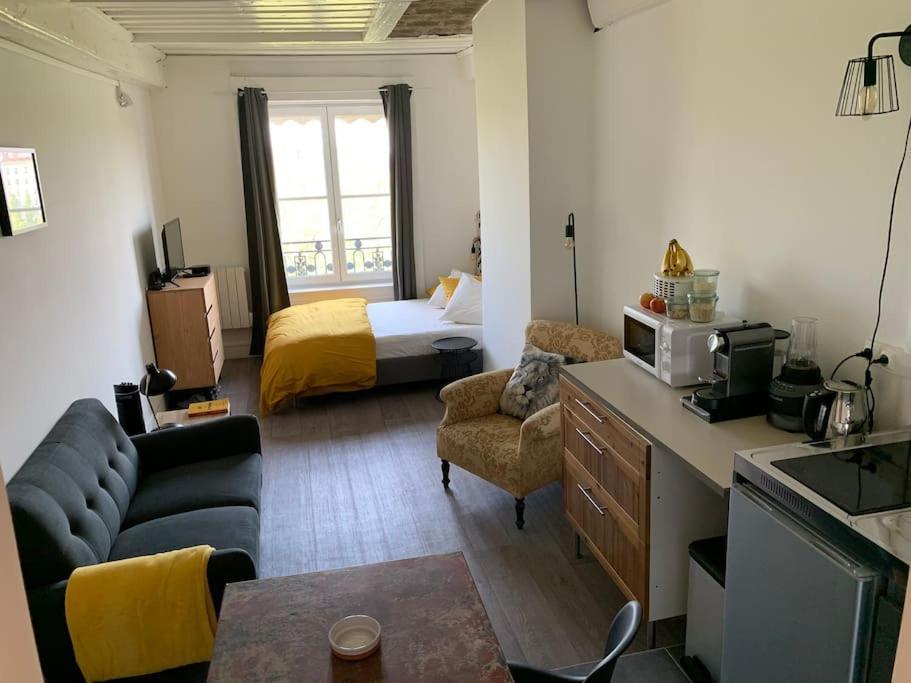 Chez Alam A L'Opera De Lyon Apartment Bagian luar foto